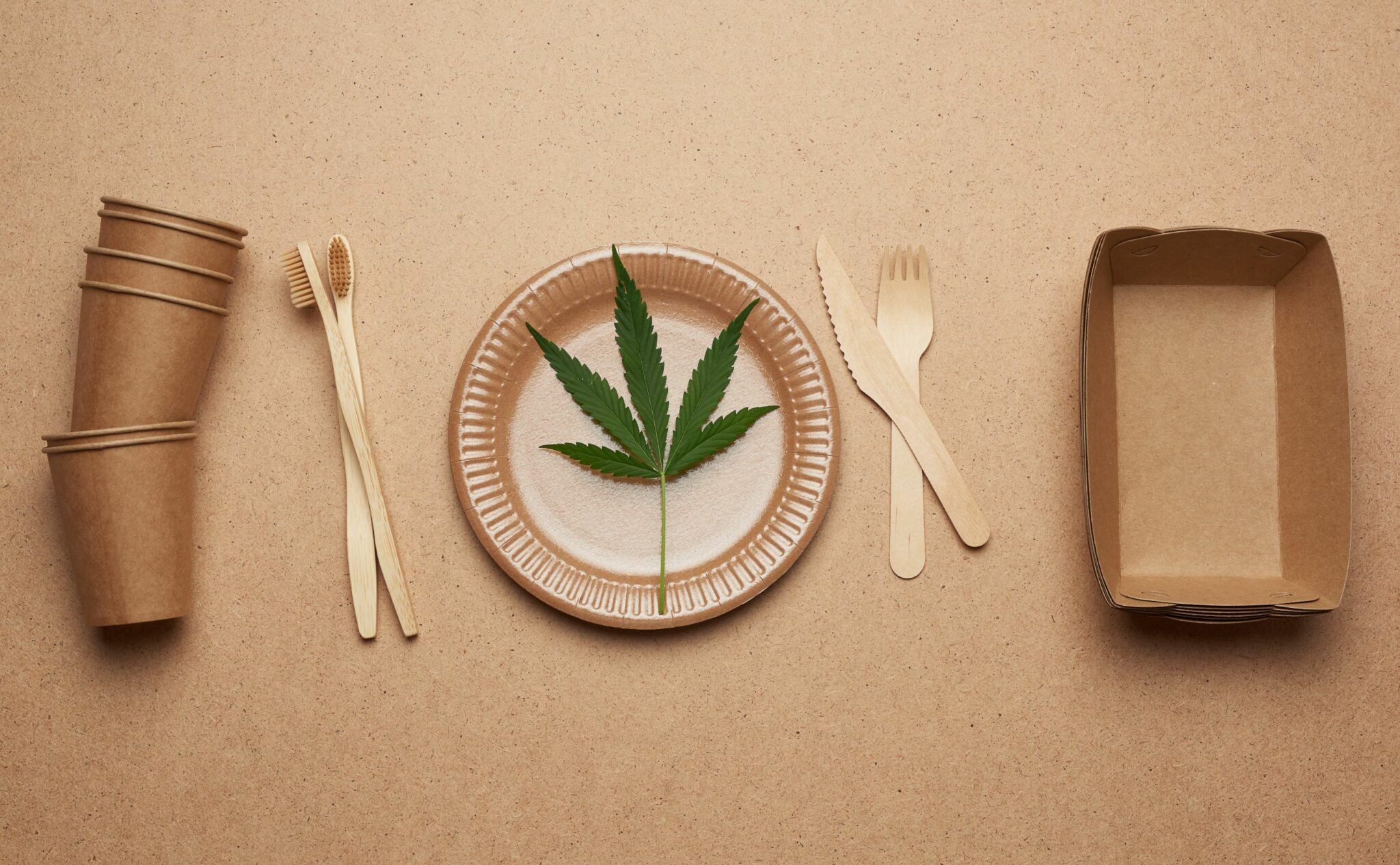 Hemp Bioplastic A Solution to Our Plastic Problem